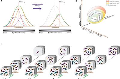 Adaptive Strategies and Evolutionary Responses of Microbial Organisms to Changing Oceans